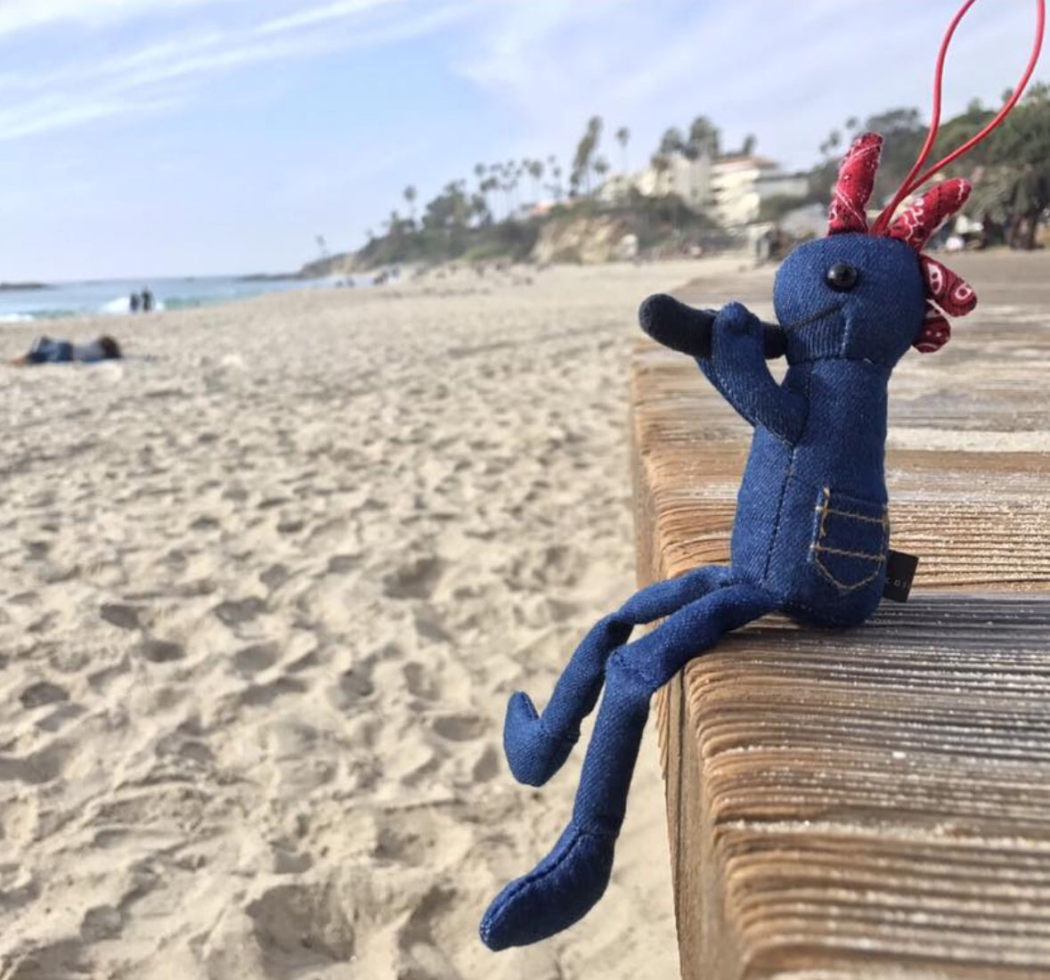 KOKOPELLI® DENIM BLUE : 旅路の安全