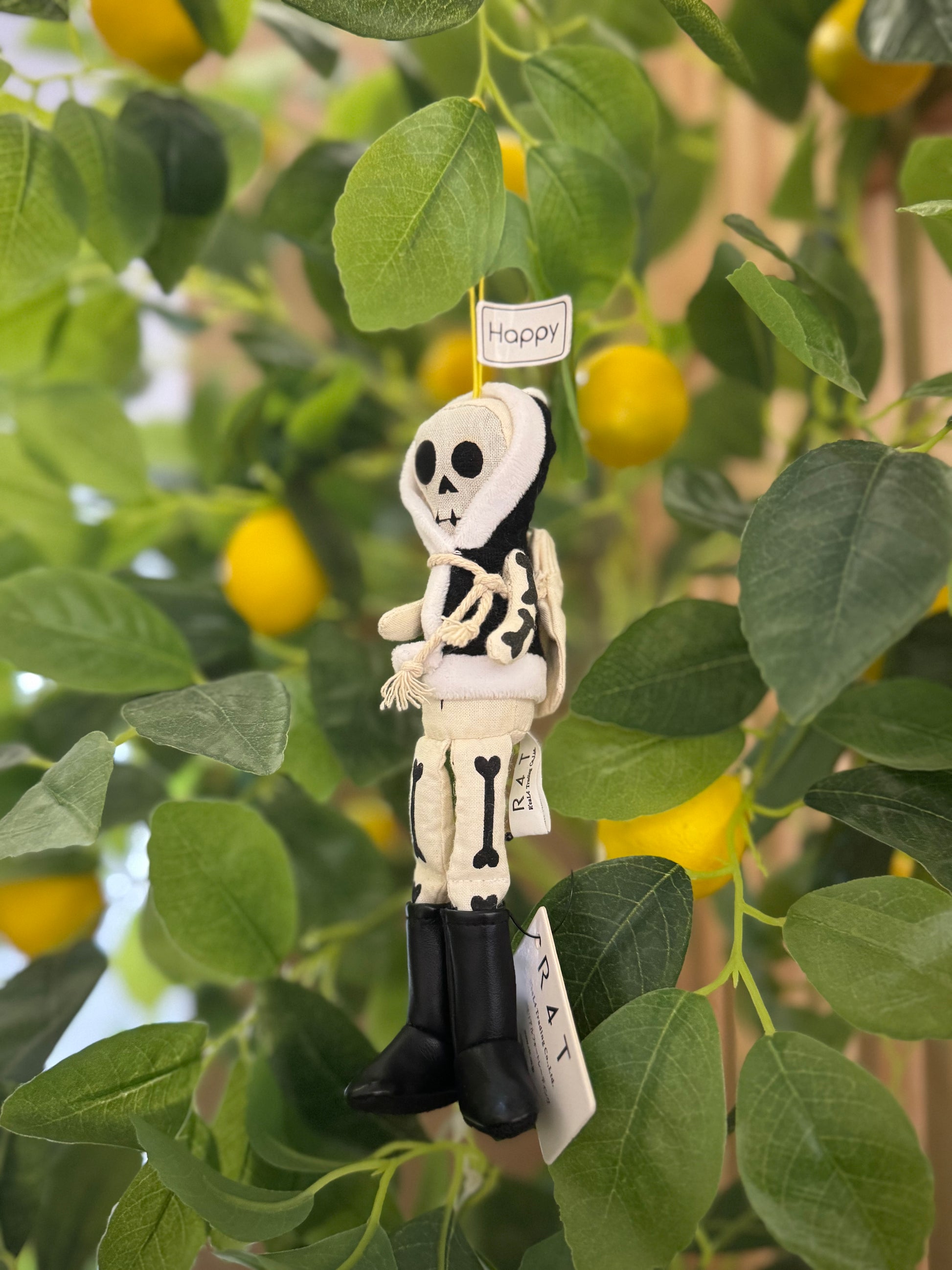WHOOPEE SKULL®
BLACK : HAPPY