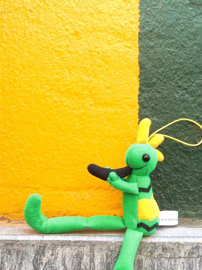 KOKOPELLI® BASIC GREENxYELLOW : 新たな出会い