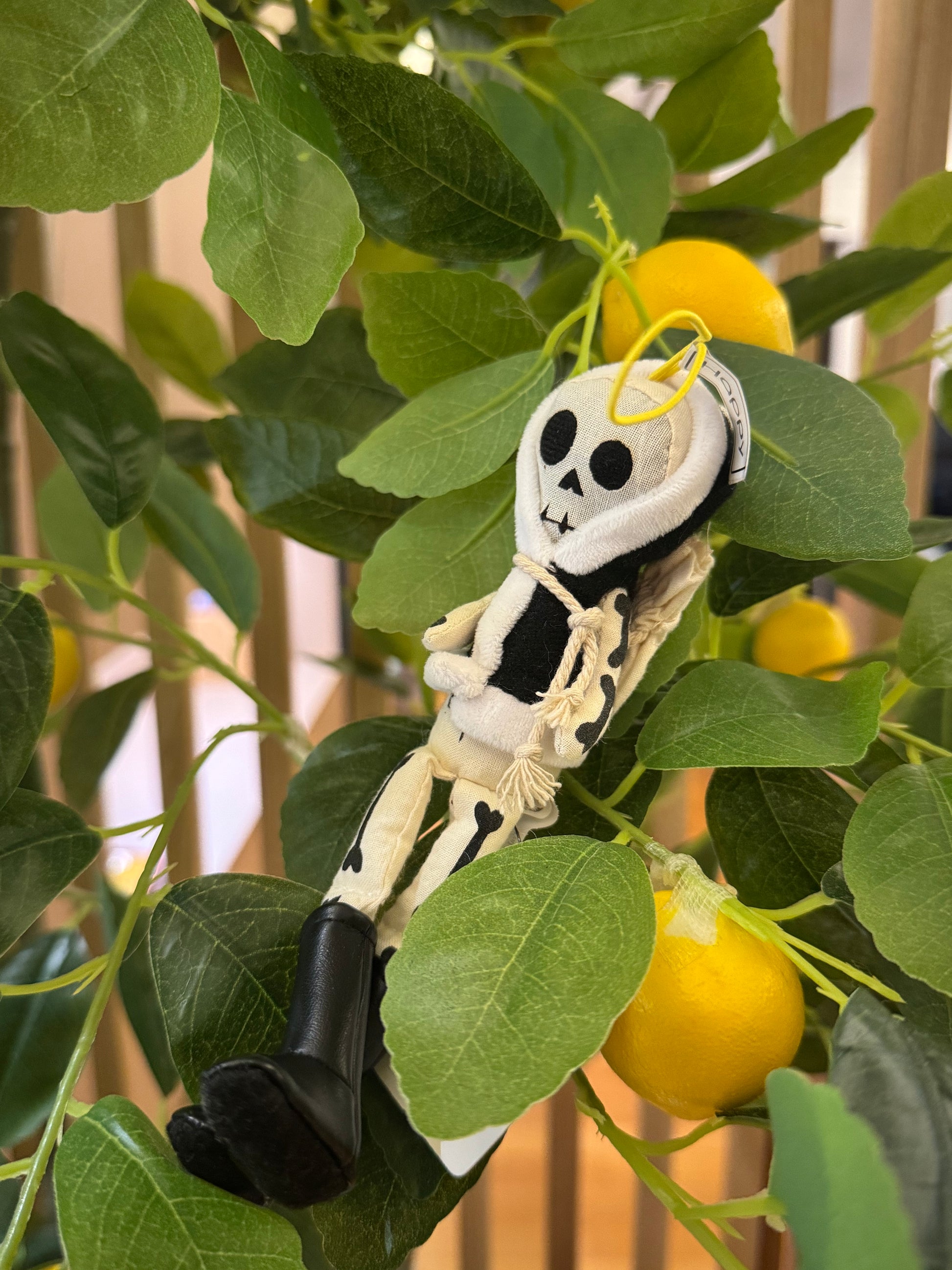 WHOOPEE SKULL®
BLACK : HAPPY