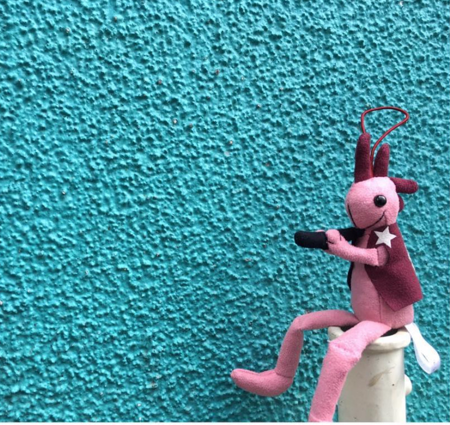 KOKOPELLI® SUEDE SUNFACE : 喜びを与える