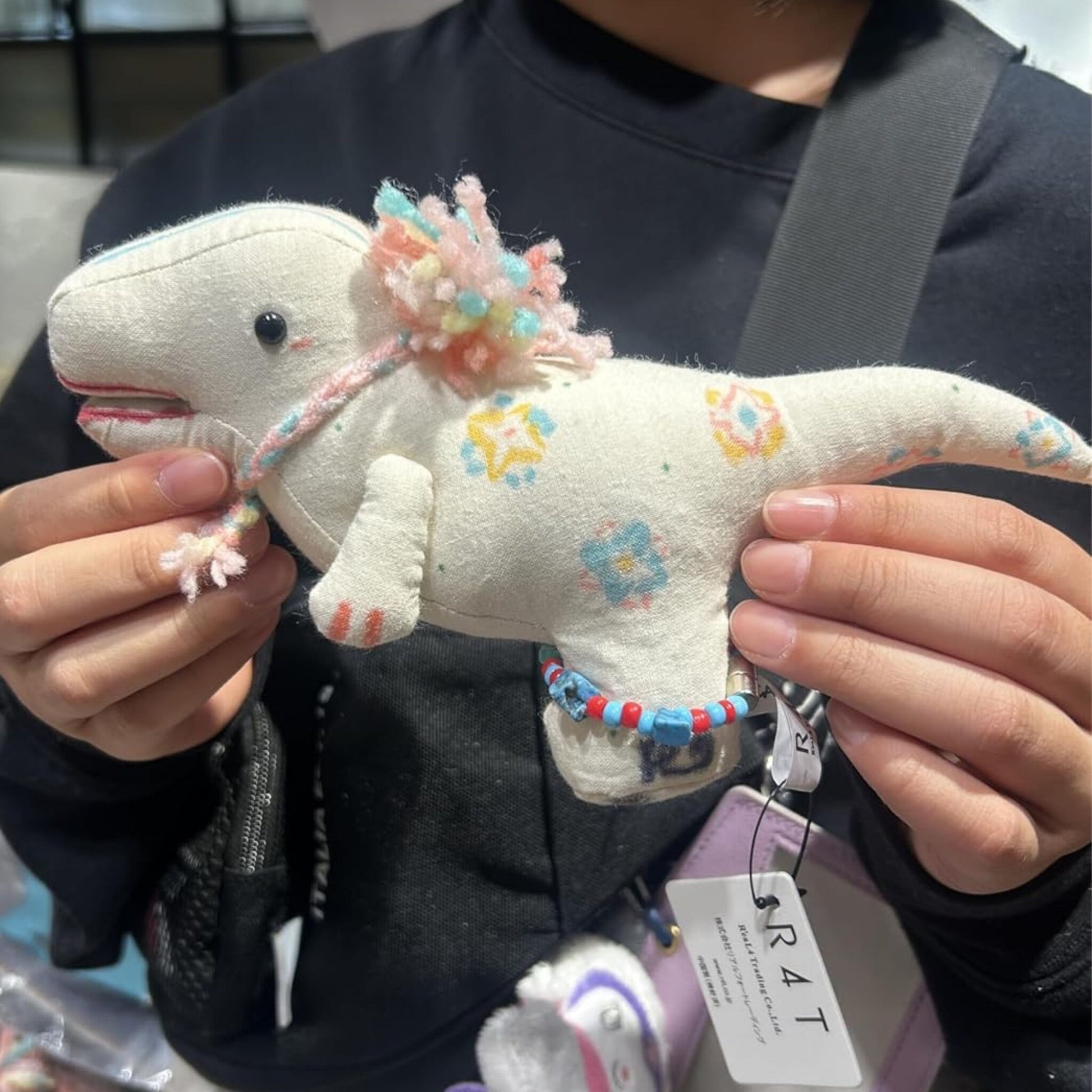TYRANNOSAURUS®
CANVAS DOLL